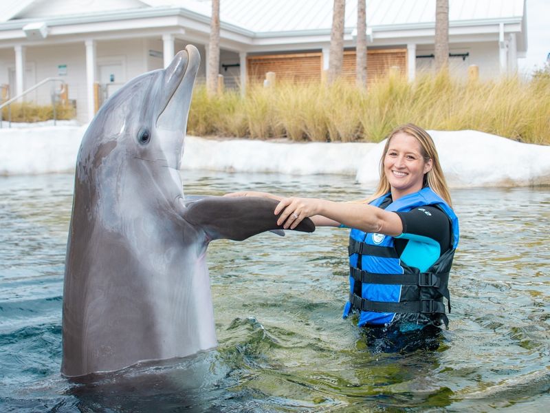Gulfarium Marine Adventure Park: Interactive Marine Encounters