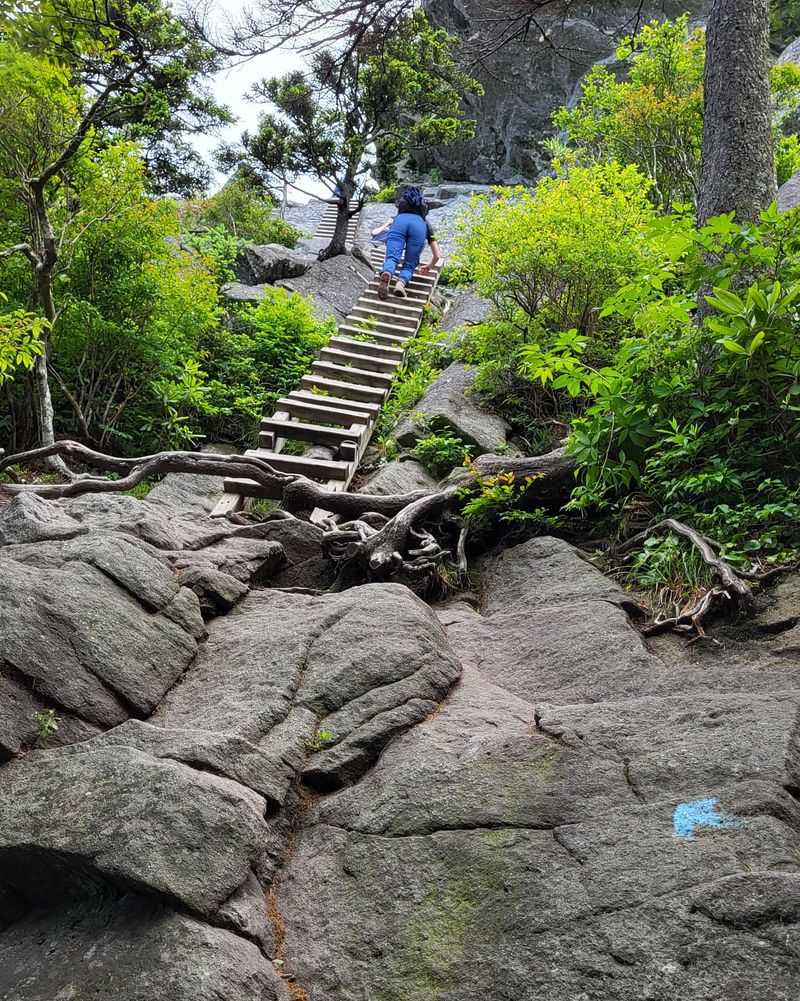 Grandfather Mountain Trail
