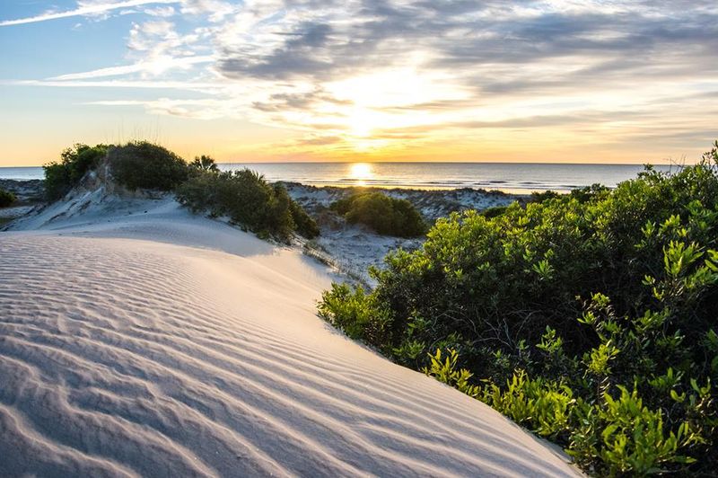 Cumberland Island – Georgia