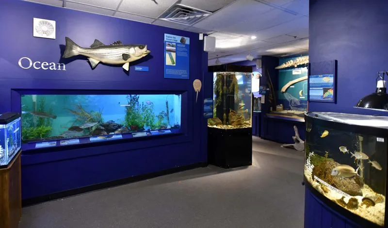 Cape Cod Museum of Natural History
