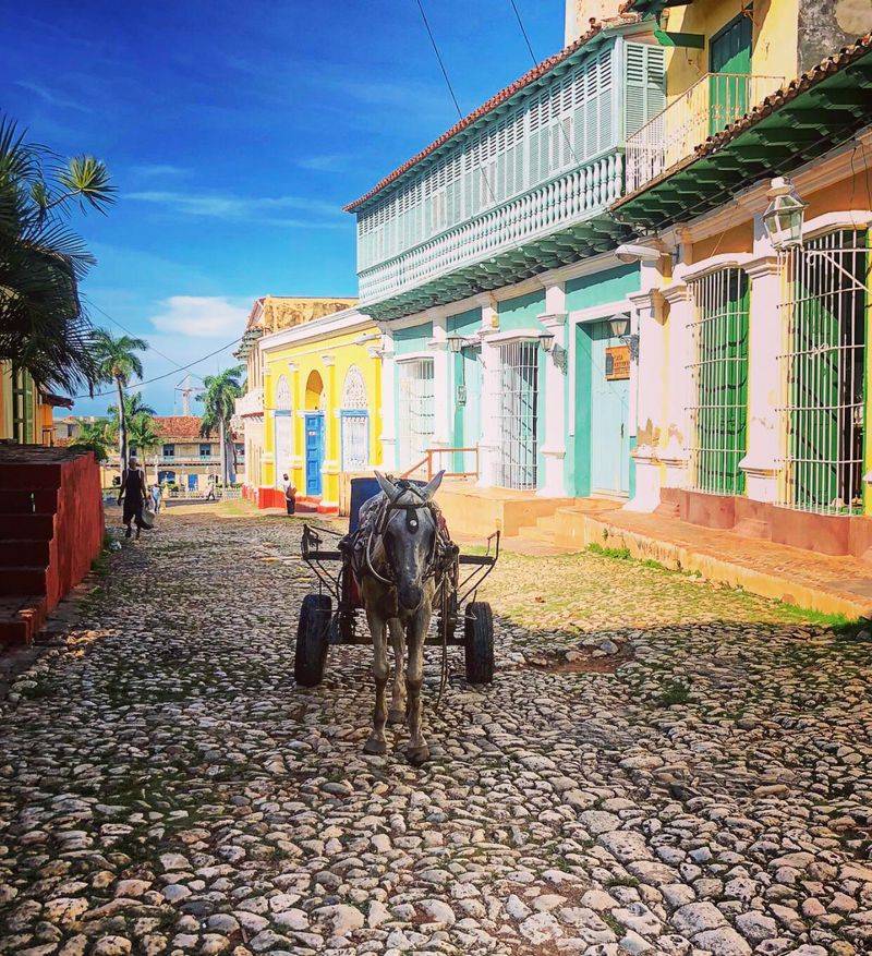 Baracoa, Cuba – Cacao Groves and Tropical Fruits