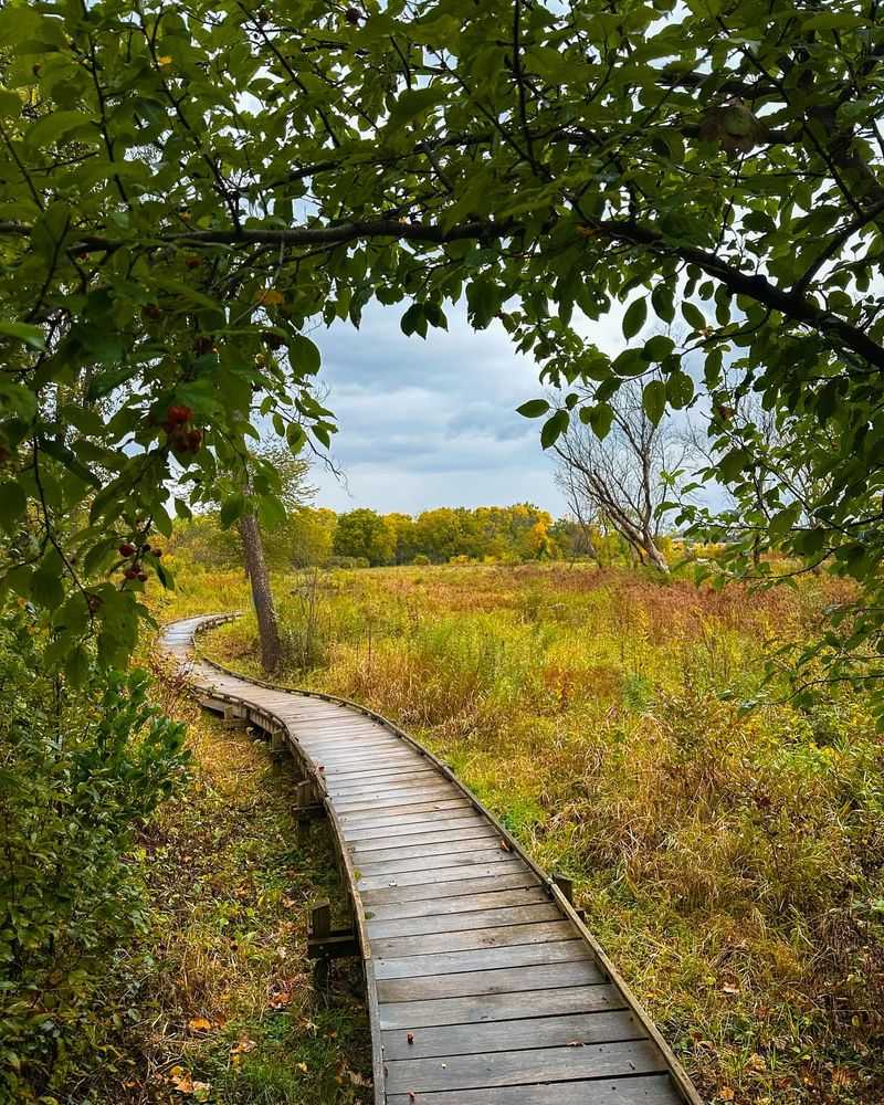 Trails of Tranquility
