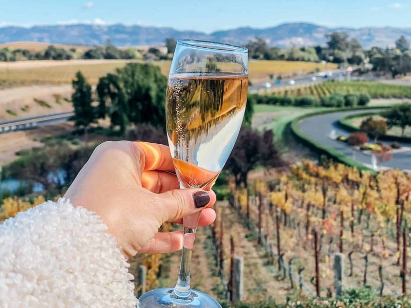 Wine Tasting in Napa Valley