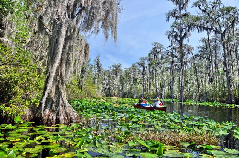 The Okefenokee Swamp – Georgia