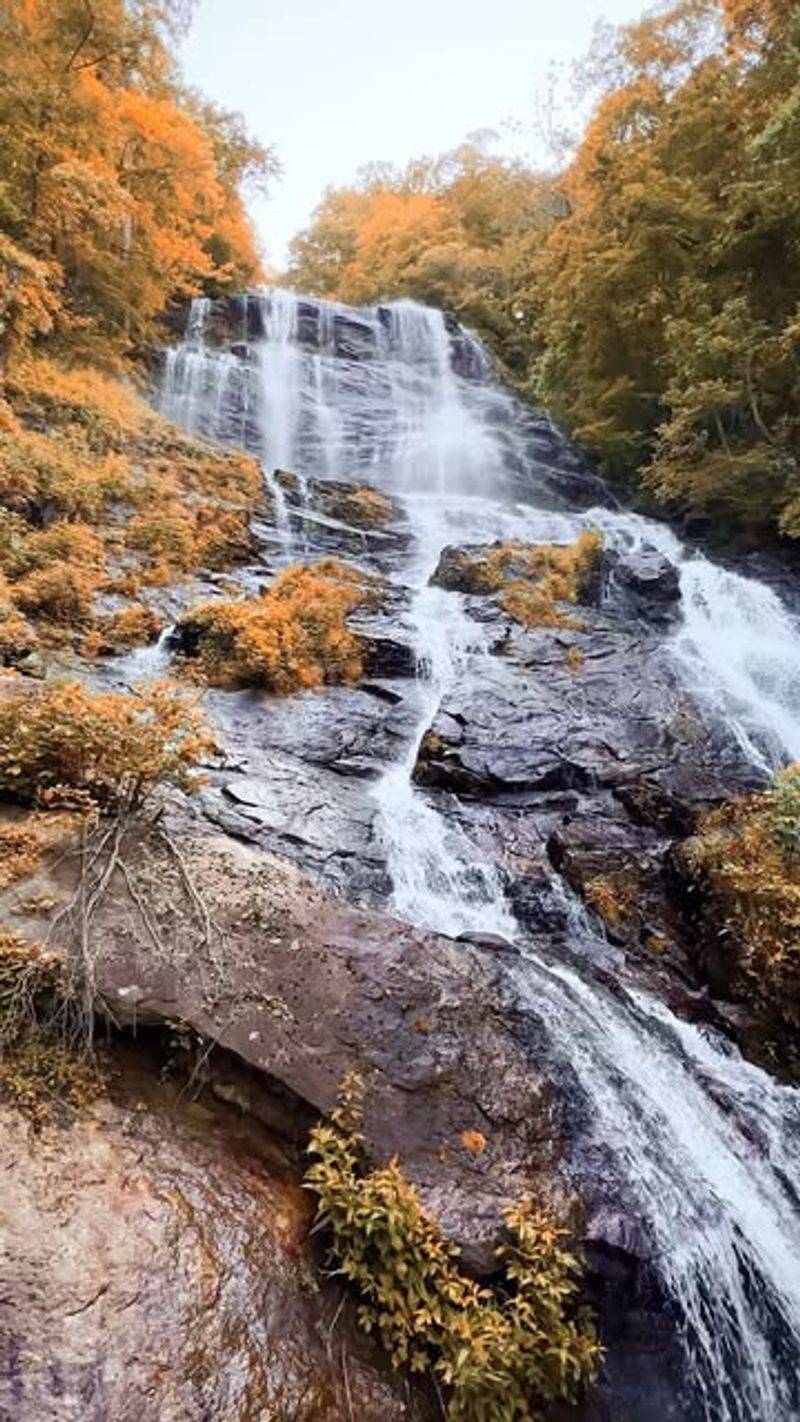 Amicalola Falls State Park, Georgia