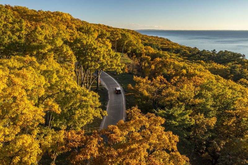 Fall Foliage on the Tunnel of Trees