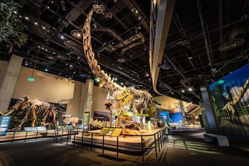 Perot Museum of Nature and Science