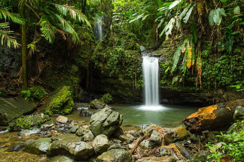 Day 3: El Yunque Rainforest Meets Island Chill