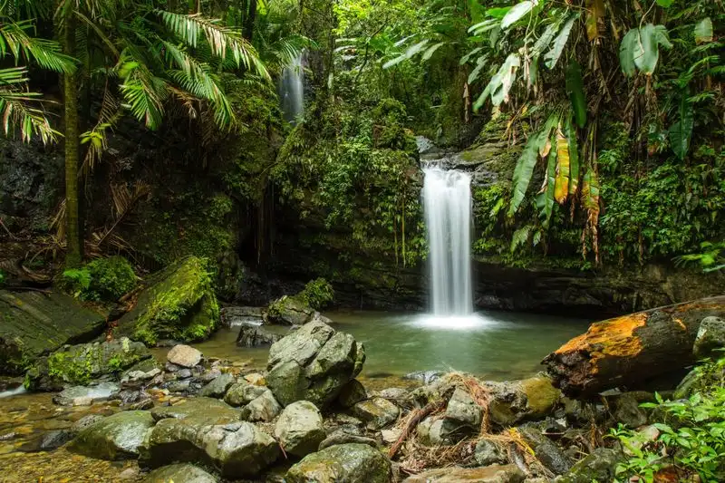 Day 3: El Yunque Rainforest Meets Island Chill