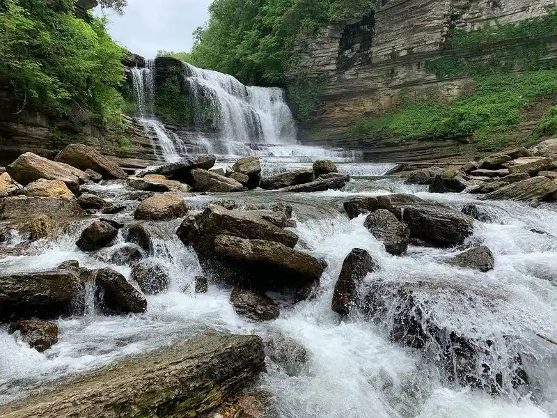 Cookeville