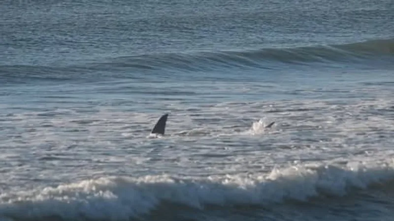 Cocoa Beach