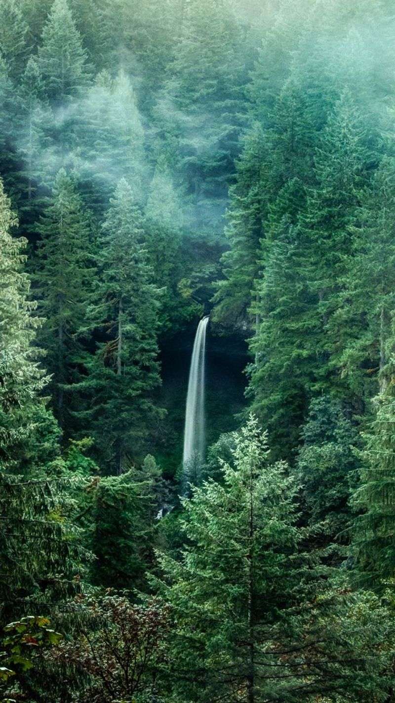 Silver Falls State Park, Oregon