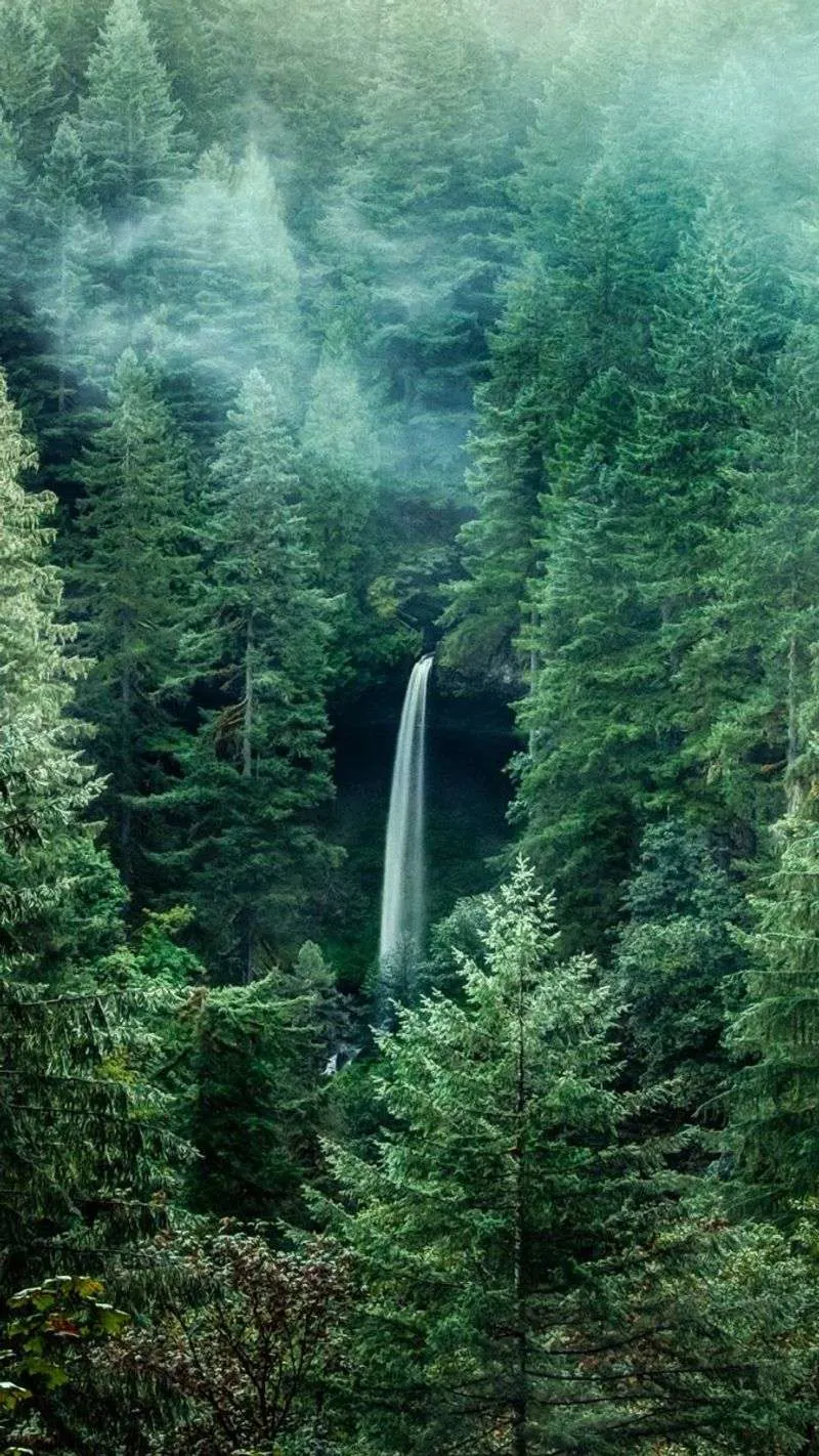 Silver Falls State Park, Oregon