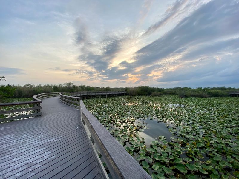 Everglades National Park (Florida)