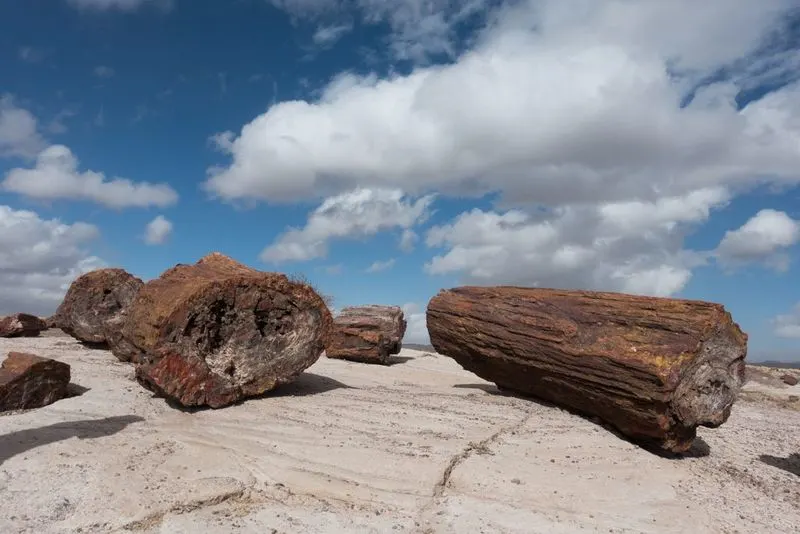 Petrified Forest National Park, Arizona