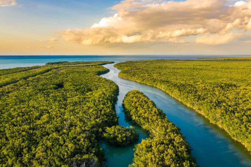 Florida – Everglades National Park