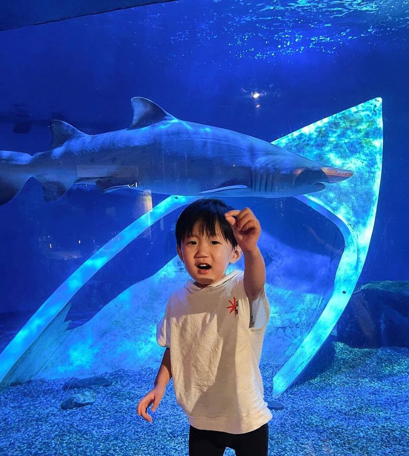 Mystic Aquarium (Mystic)