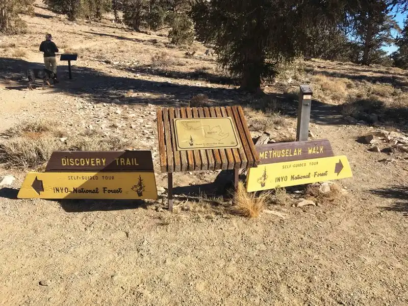 Visitor Center and Interpretive Signs