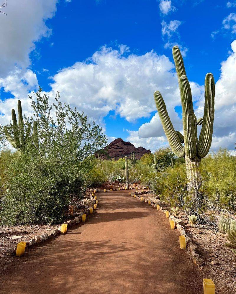 Desert Botanical Garden Nearby