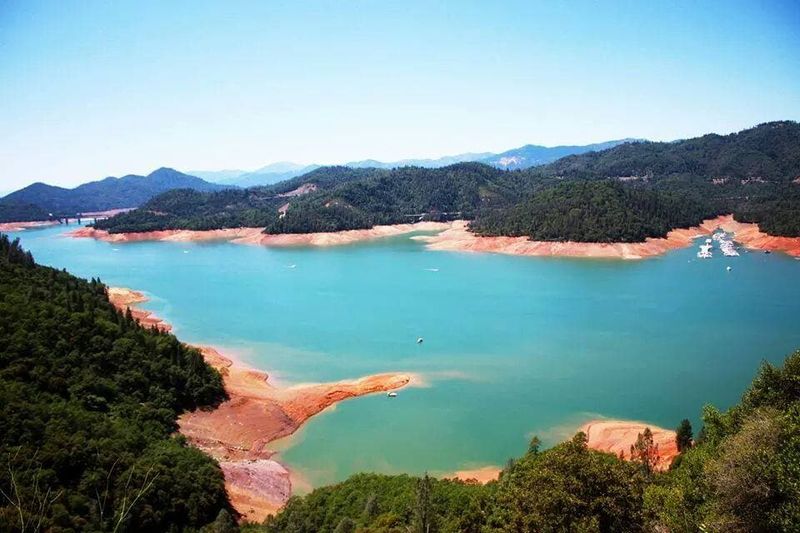 Explore Shasta Lake's Secluded Coves