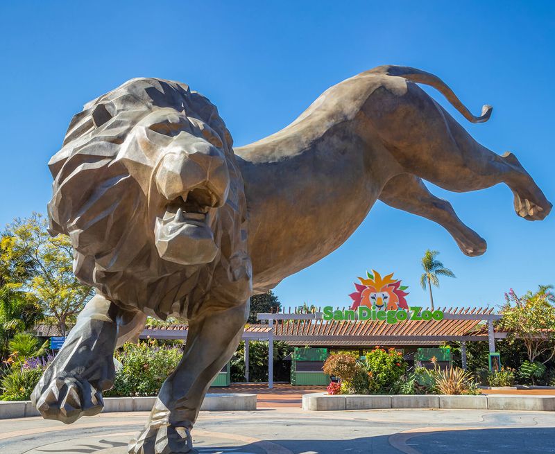 Visiting the San Diego Zoo