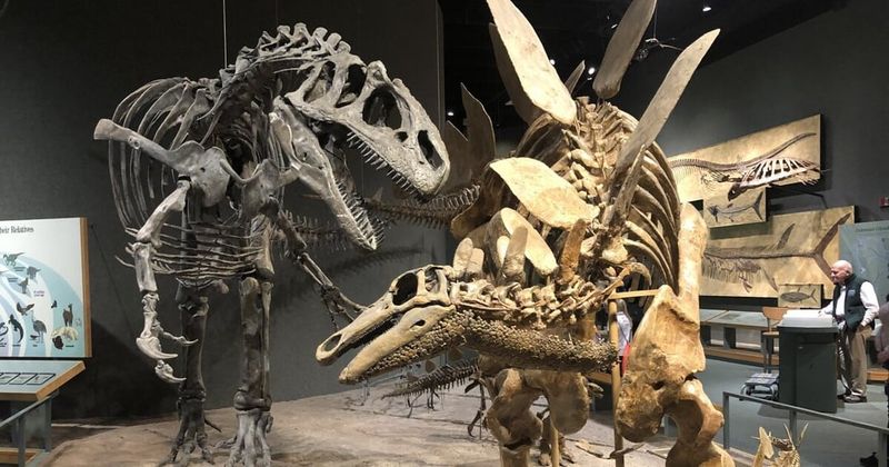 Denver Museum of Nature & Science, Colorado