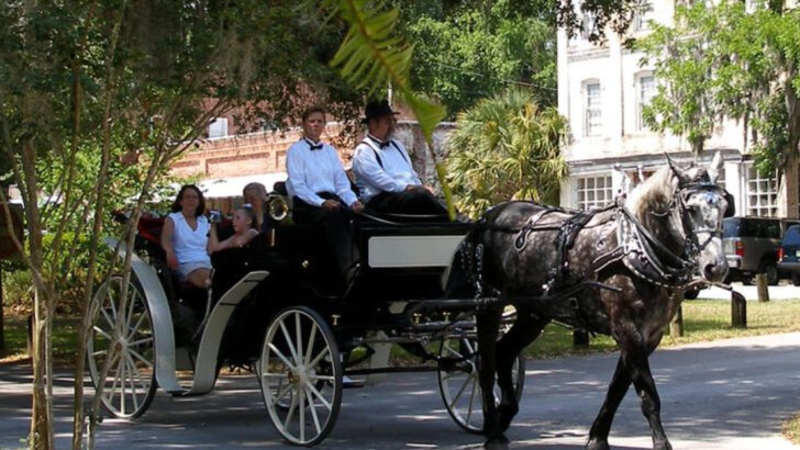 Discover the Charm of Florida’s Oldest Inland Town – A Hidden Beauty Waiting to Be Explored
