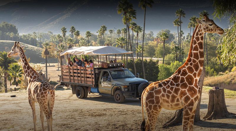 San Diego Zoo Safari Park