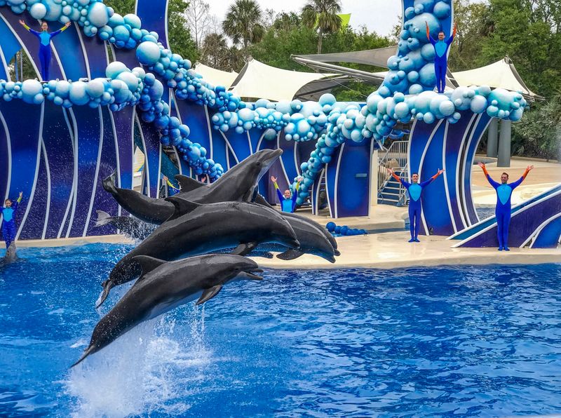 SeaWorld Orlando