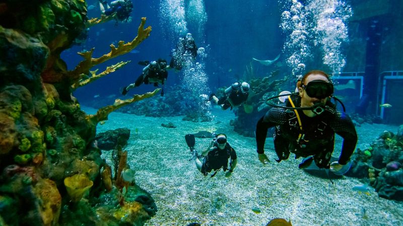 DiveQuest (EPCOT – The Seas Pavilion)