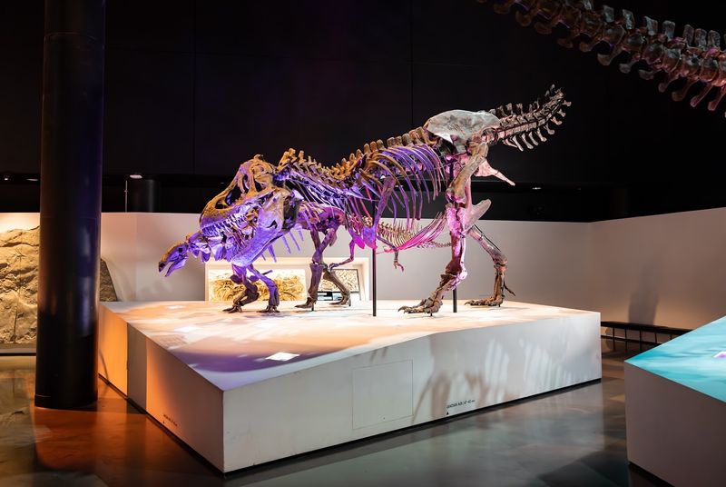 Houston Museum of Natural Science (Houston)