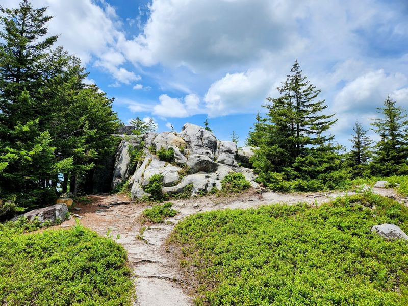 Monongahela National Forest