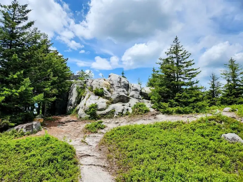 Monongahela National Forest
