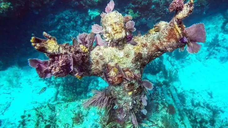 Driving From Miami to Key West? Here Are 14 Stops Worth Your Time