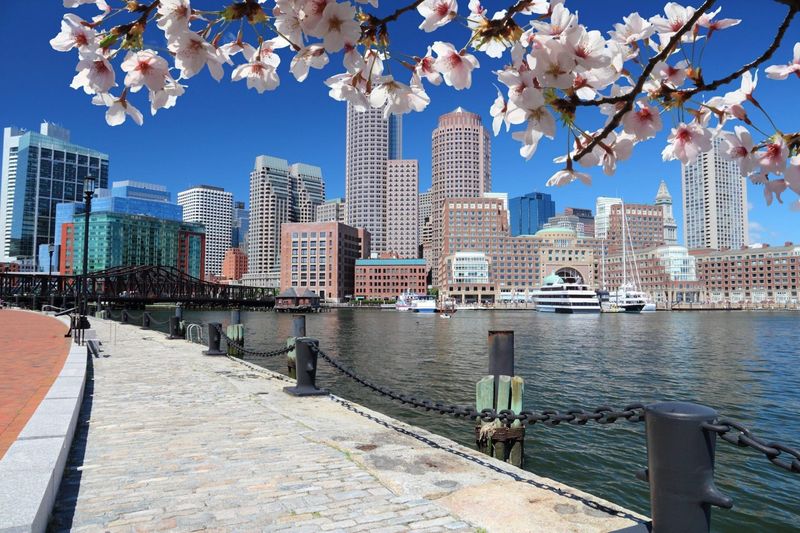 Harborwalk