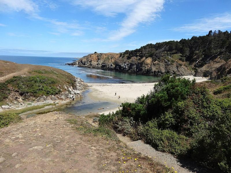 Salt Point State Park, California