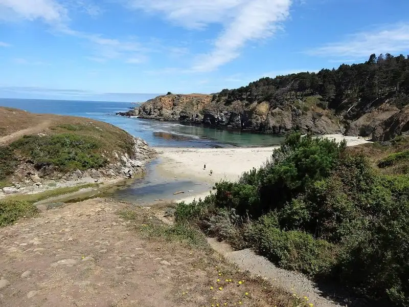 Salt Point State Park, California