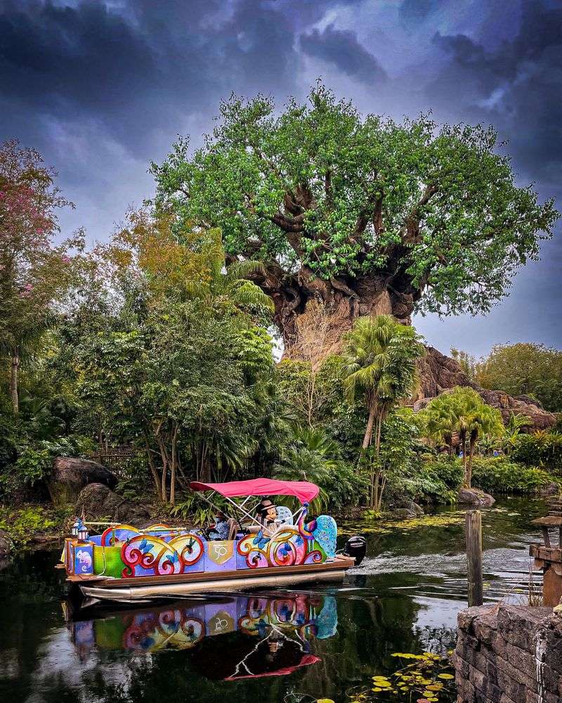 Animal Kingdom – Most Immersive Plant-Based Atmosphere