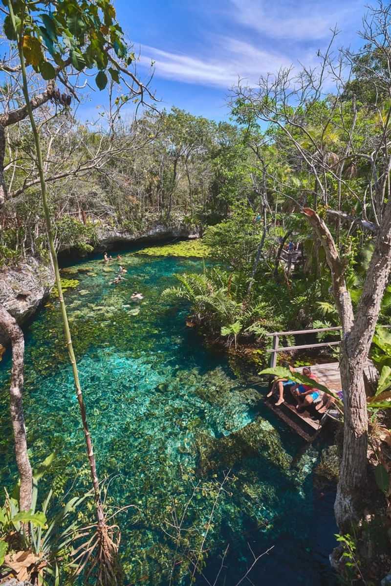 Tulum, Mexico – Jungle Vines and Cenote Ferns