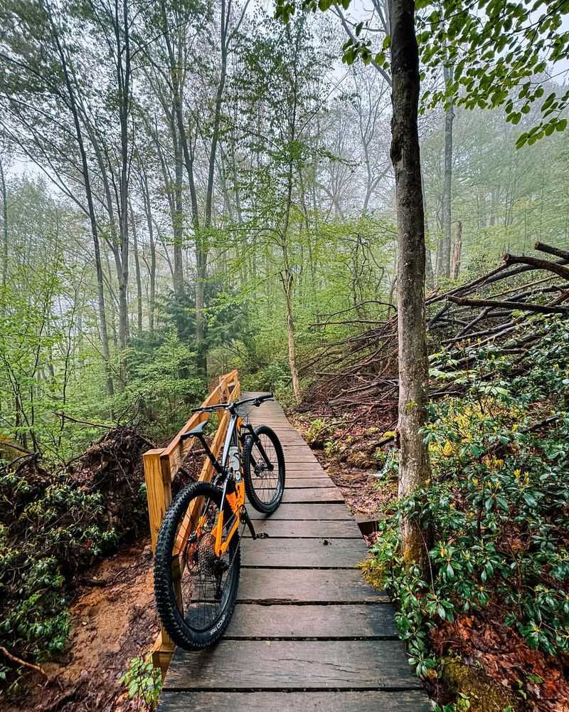 Allegheny Trail
