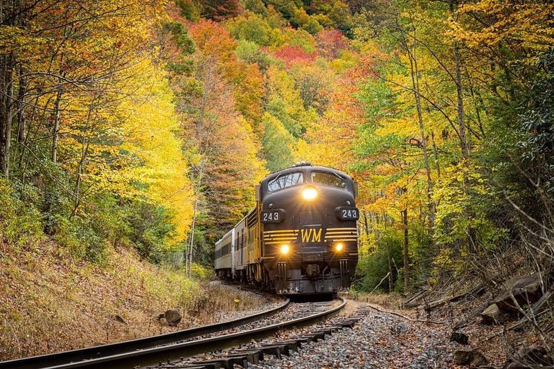 Cheat Mountain Salamander – A Scenic Train Ride Full of History