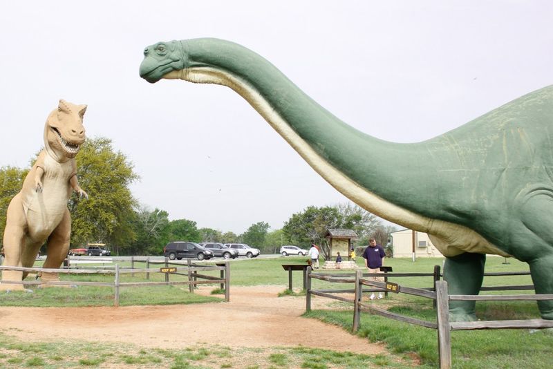 Dinosaur Valley State Park