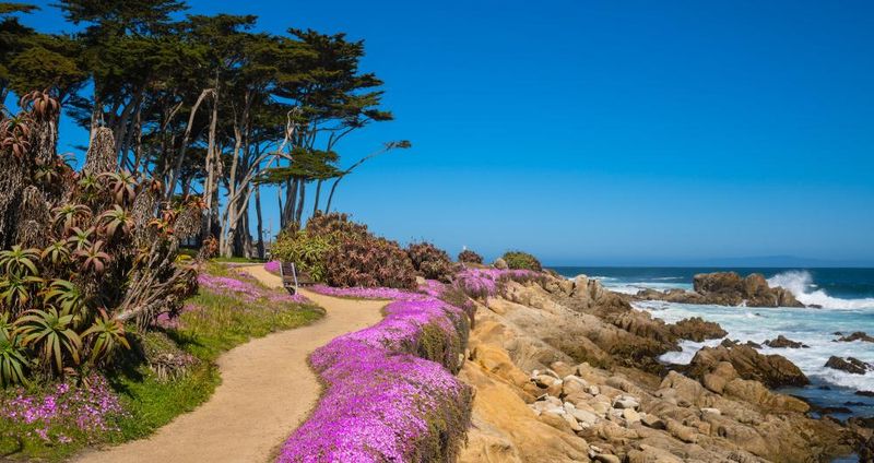 Pacific Grove