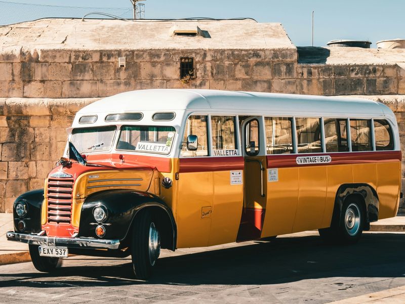 Car Rentals and Buses