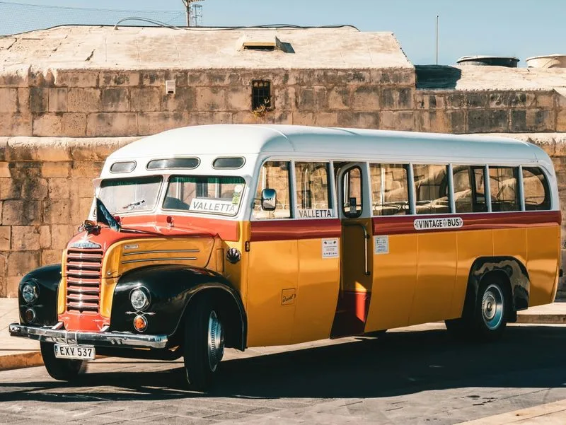 Car Rentals and Buses