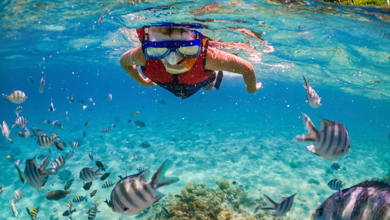 Bring Your Own Snorkel and Hiking Gear