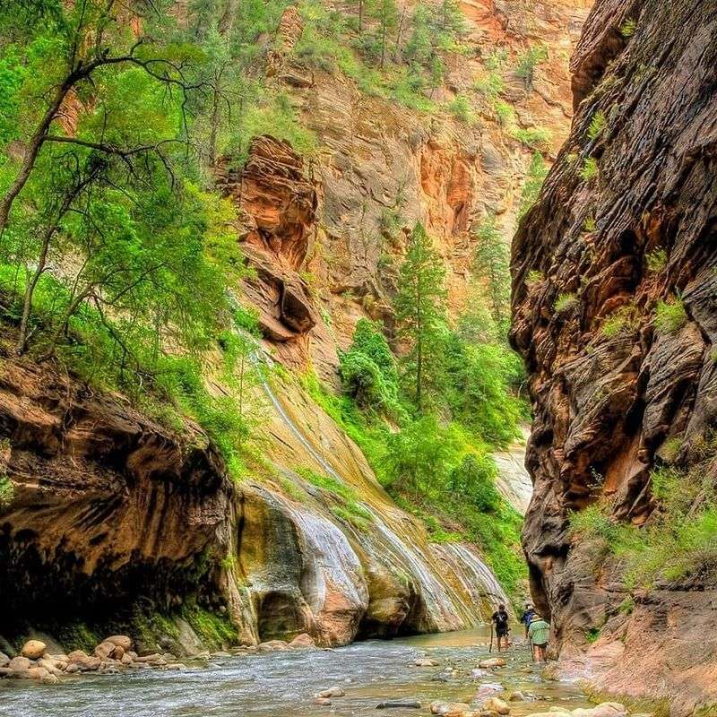 Wade in the Virgin River