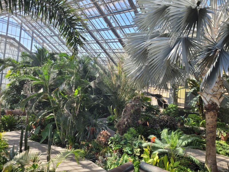 Explore Botanical Beauty at Missouri Botanical Garden (St. Louis, MO)
