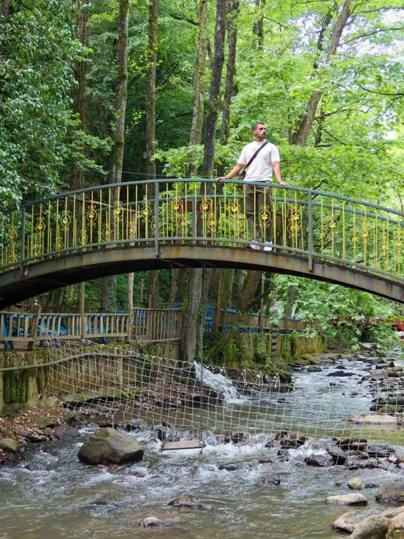Walk the Boardwalk at Mynatt Park’s Streamside Path