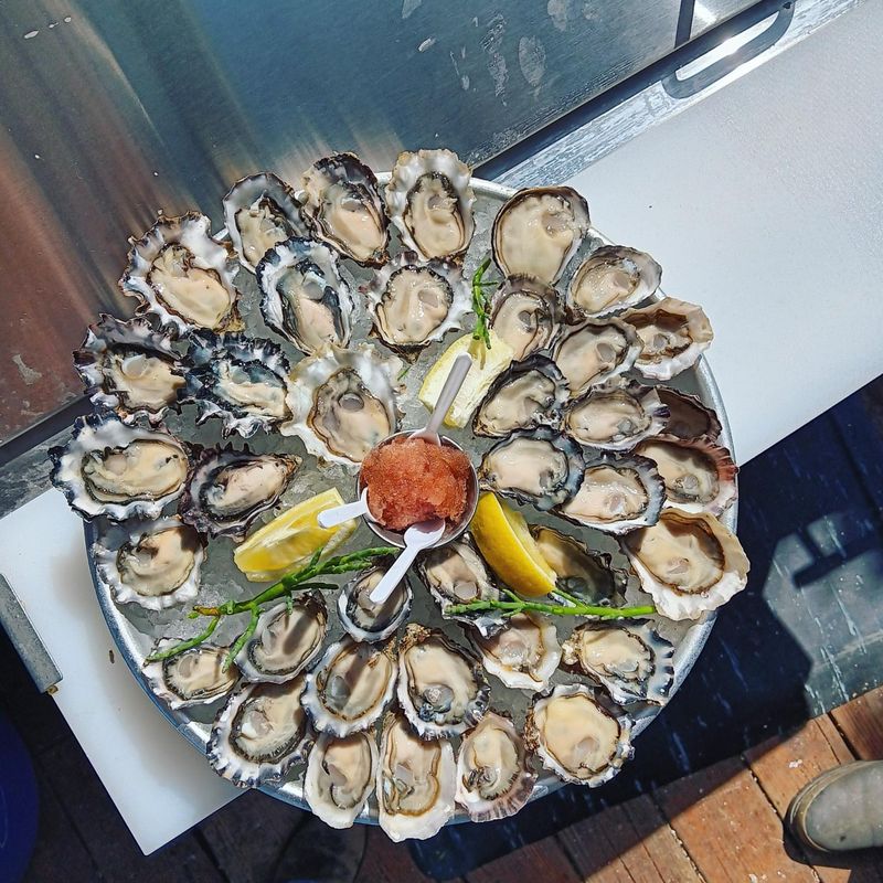 Shelton, Washington – Oyster Trails and Mossy Forests